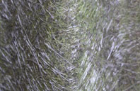 Copley Hill fibreglass roof work